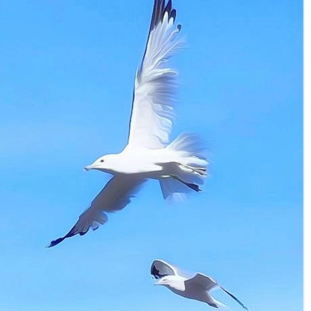 Fine art photography